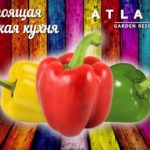 Новый выпуск НБК - Чечевица с грибами